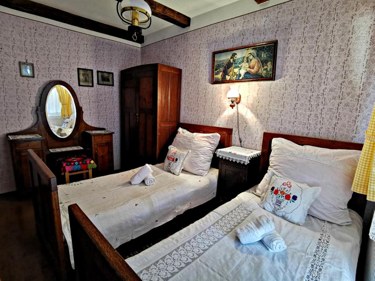 Apartment Slavonska Kuca Pleternica 外观 照片